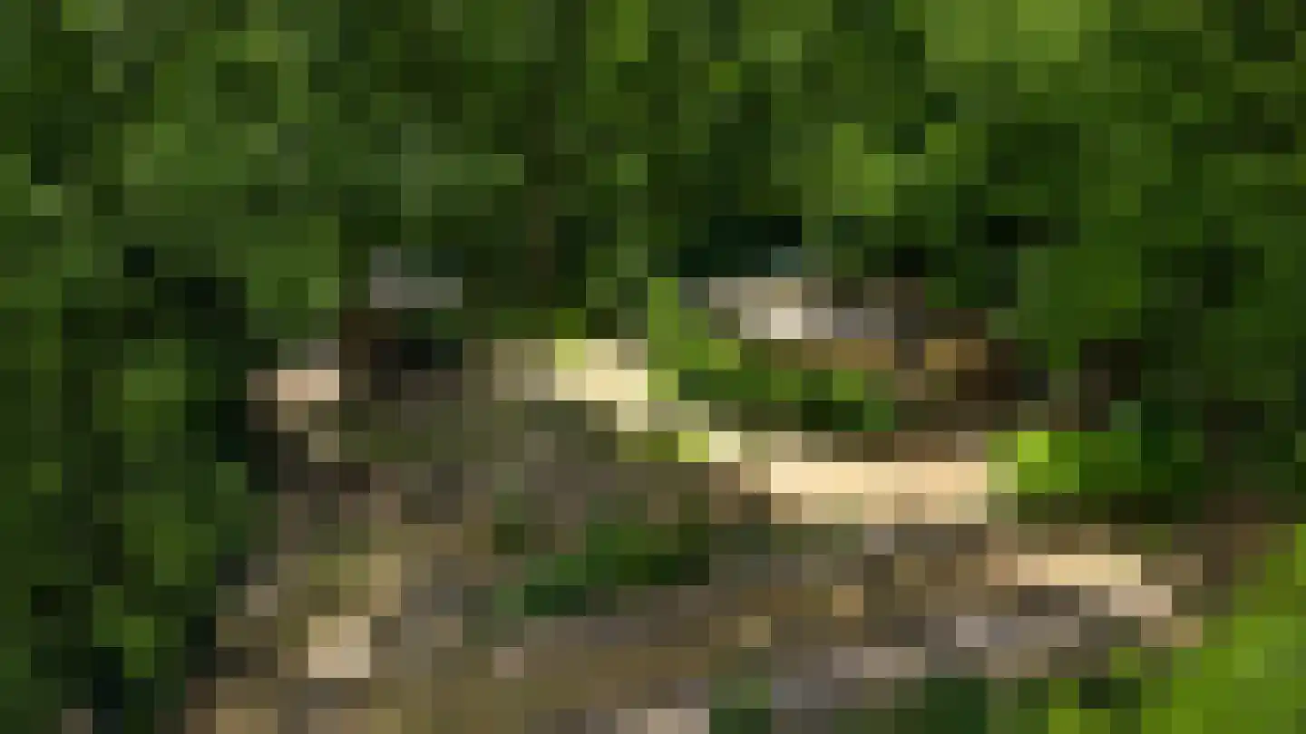 Kamperfoeliepad 4 Wanssum thumbnail 9