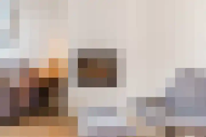 Kamperfoelieplein 18 Katwijk thumbnail 9