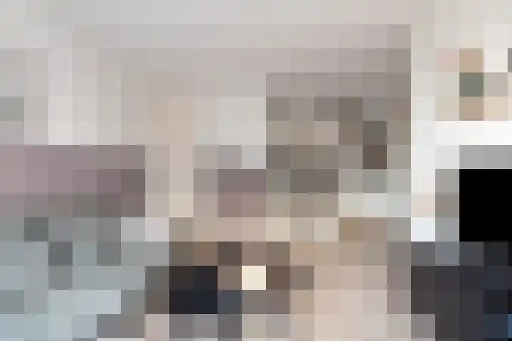 Kamperfoeliestraat 10 C Oss thumbnail 12