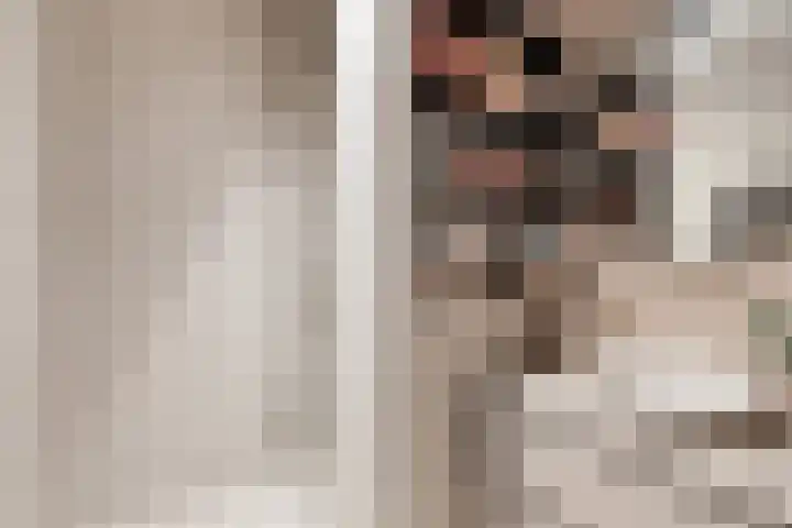 Kamperfoeliestraat 10 C Oss thumbnail 17