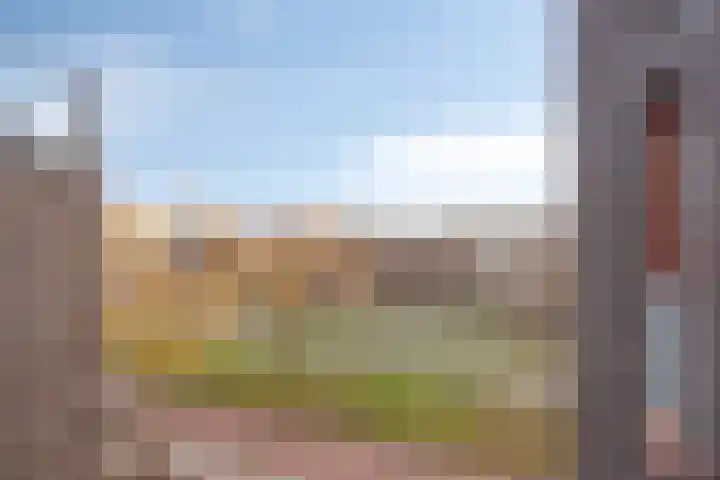 Kamperfoeliestraat 10 C Oss thumbnail 20