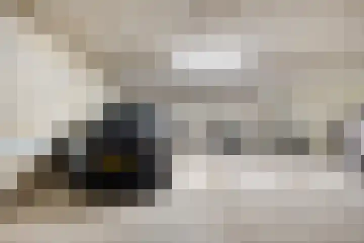 Kamperfoeliestraat 10 C Oss thumbnail 21