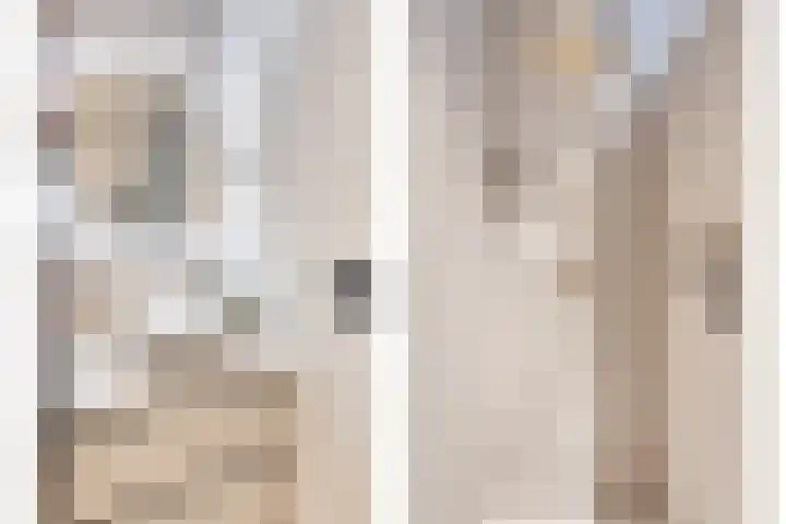 Kamperfoeliestraat 10 C Oss thumbnail 4