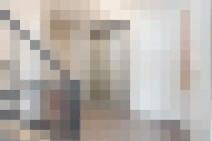 Kamperfoeliestraat 10 C Oss thumbnail 8