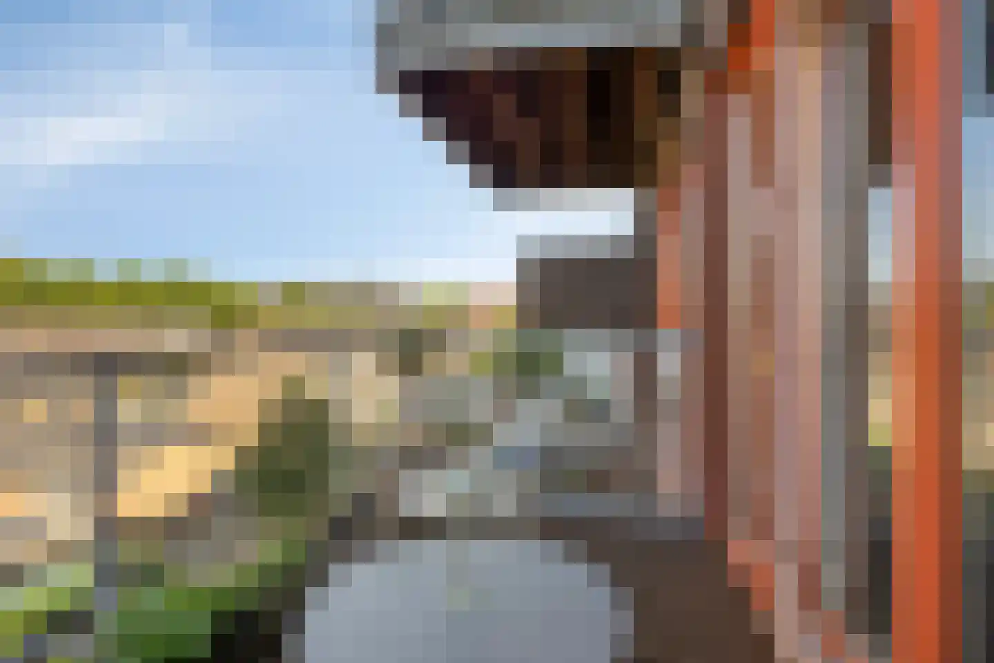 Kamperfoeliestraat 10 Oss thumbnail 12