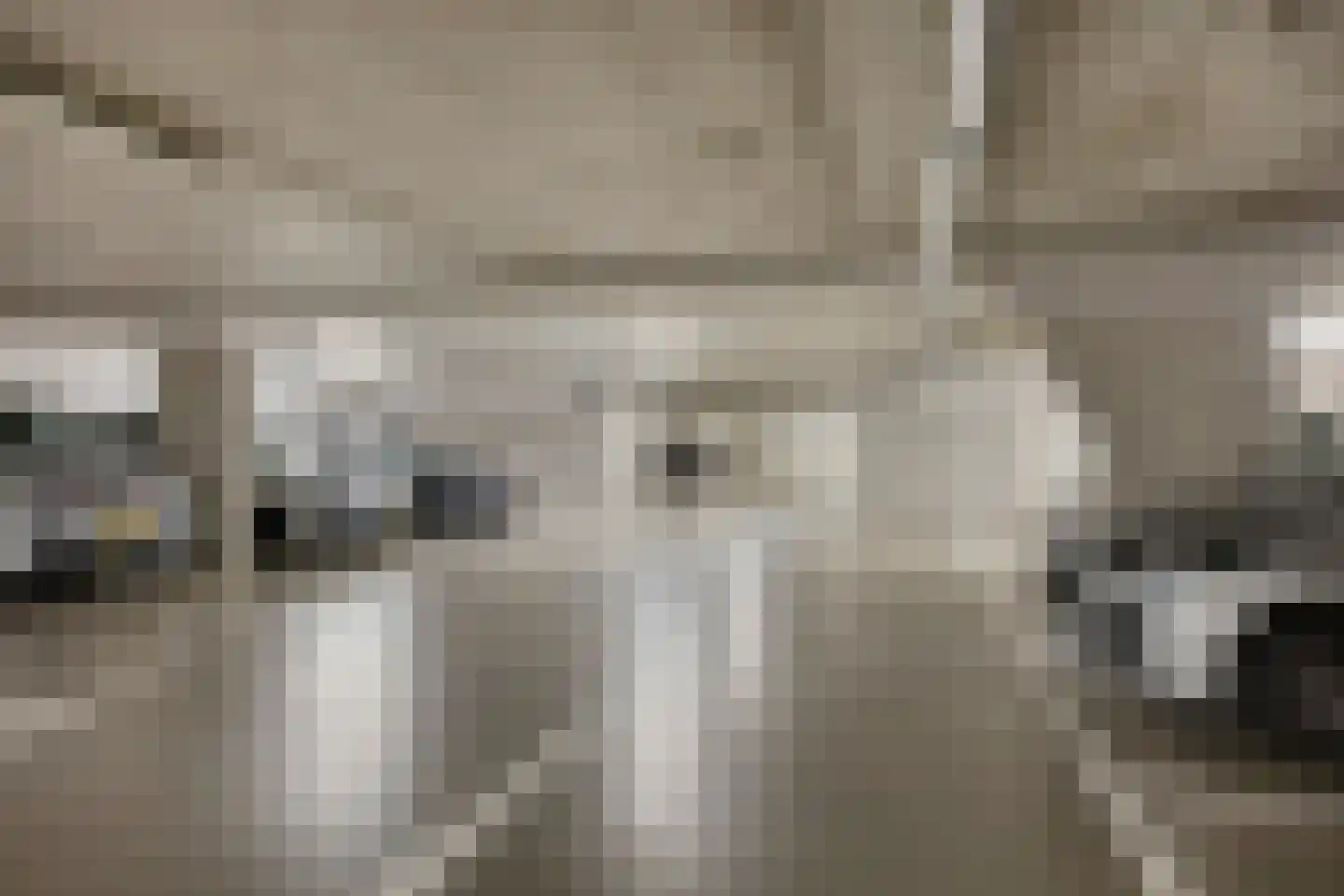 Kamperfoeliestraat 10 Oss thumbnail 17