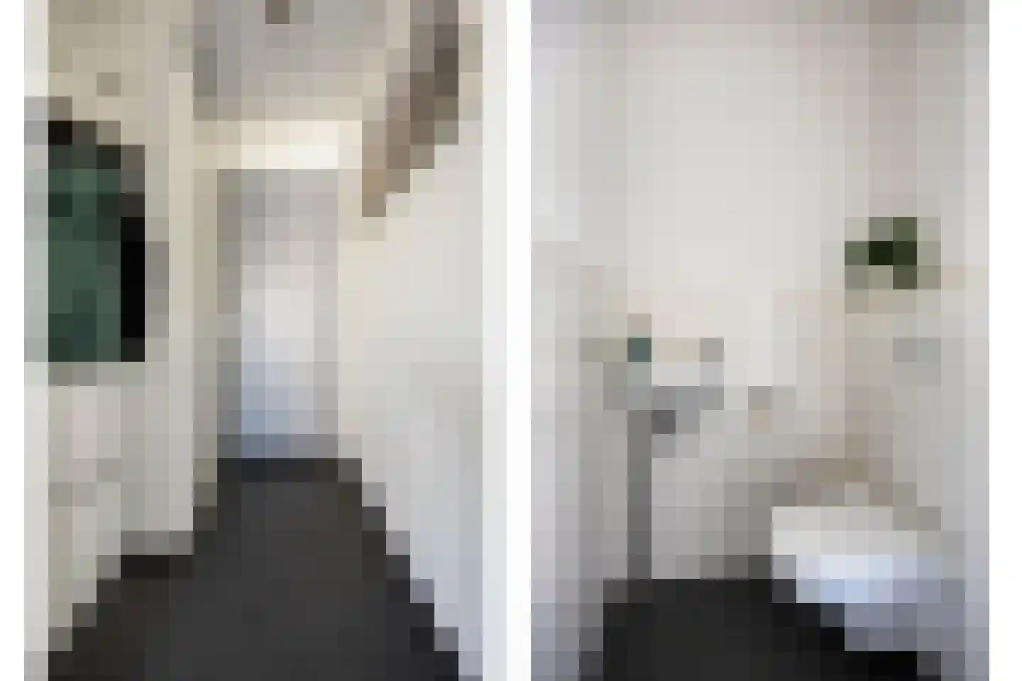 Kamperfoeliestraat 10 Oss thumbnail 8