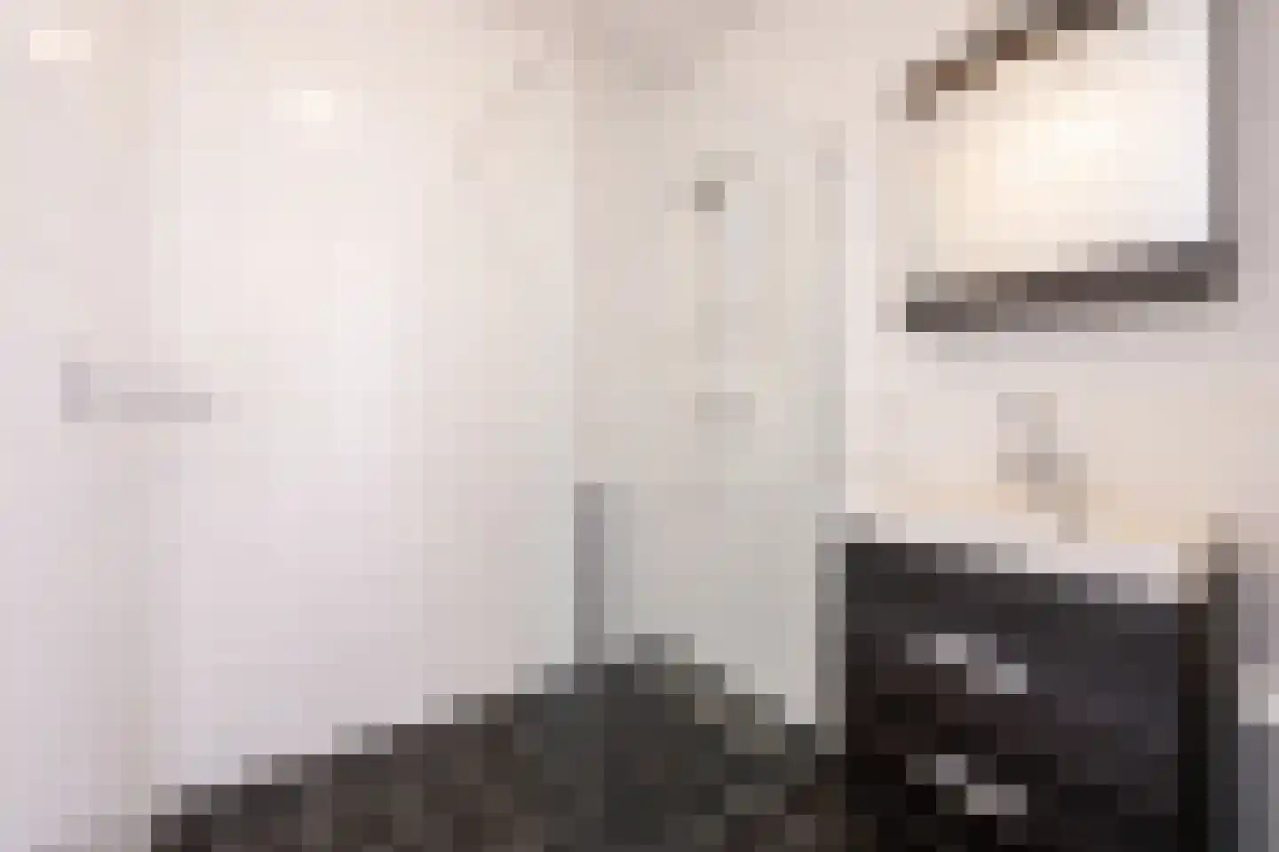 Kamperfoeliestraat 12 A Oss thumbnail 12