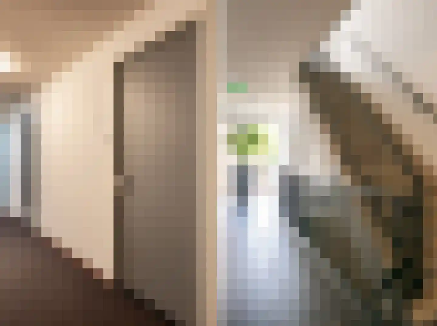 Kamperfoeliestraat 12 A Oss thumbnail 15