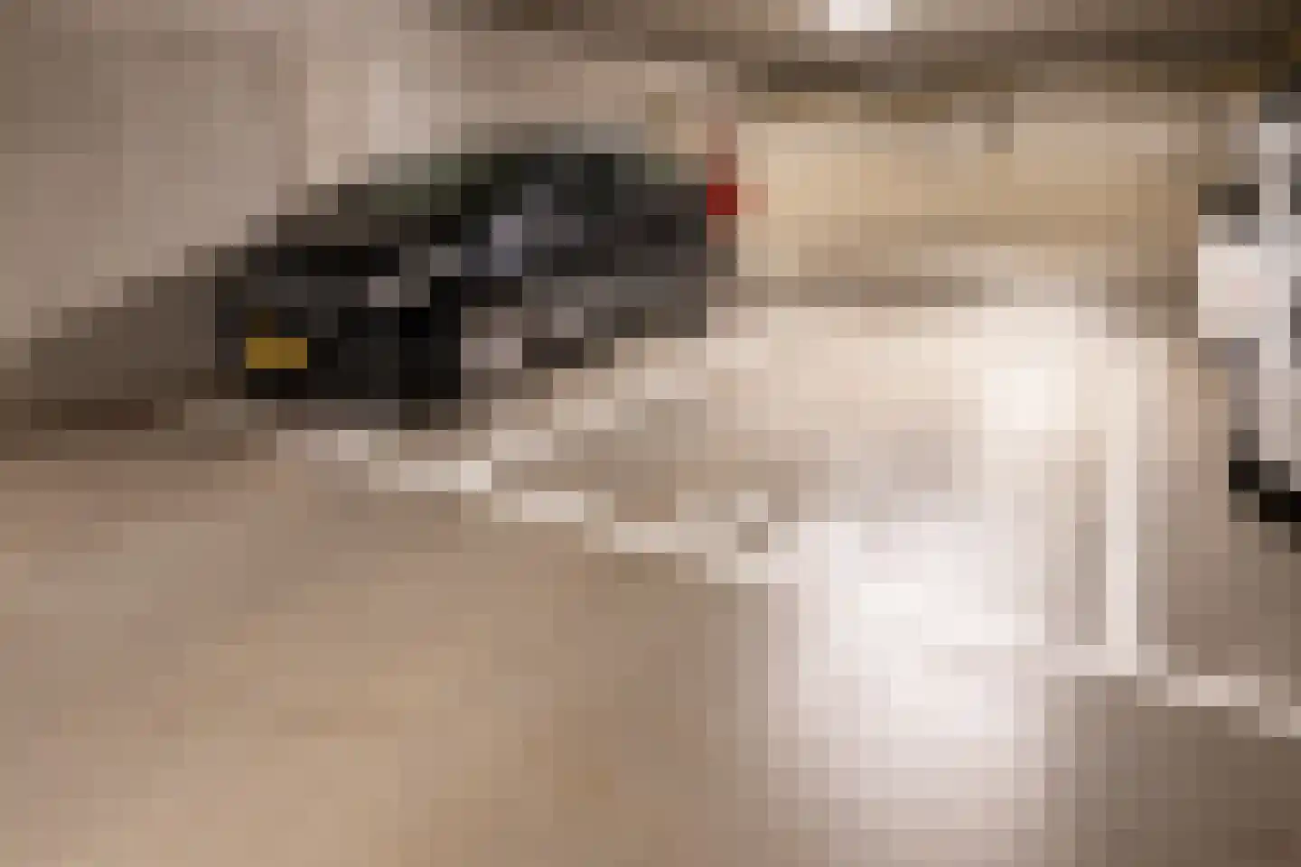 Kamperfoeliestraat 12 A Oss thumbnail 16