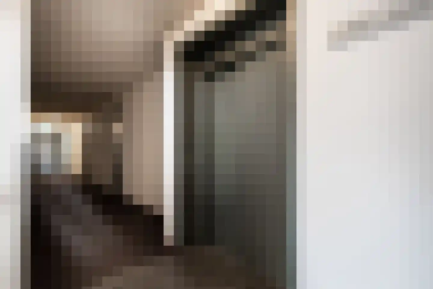 Kamperfoeliestraat 12 A Oss thumbnail 17