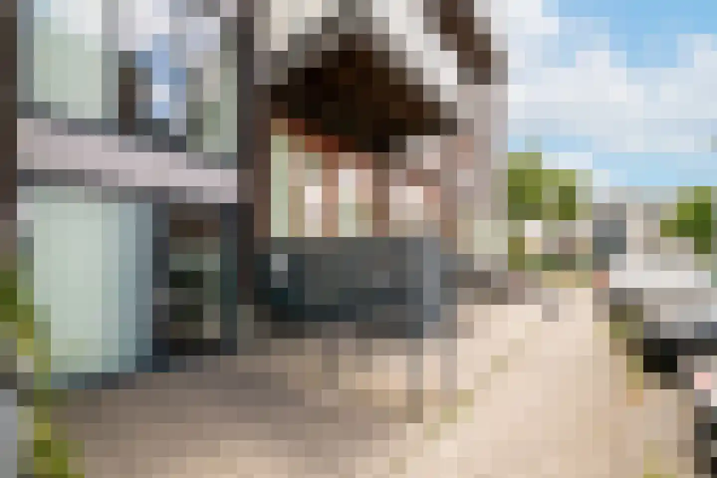 Kamperfoeliestraat 12 A Oss thumbnail 18