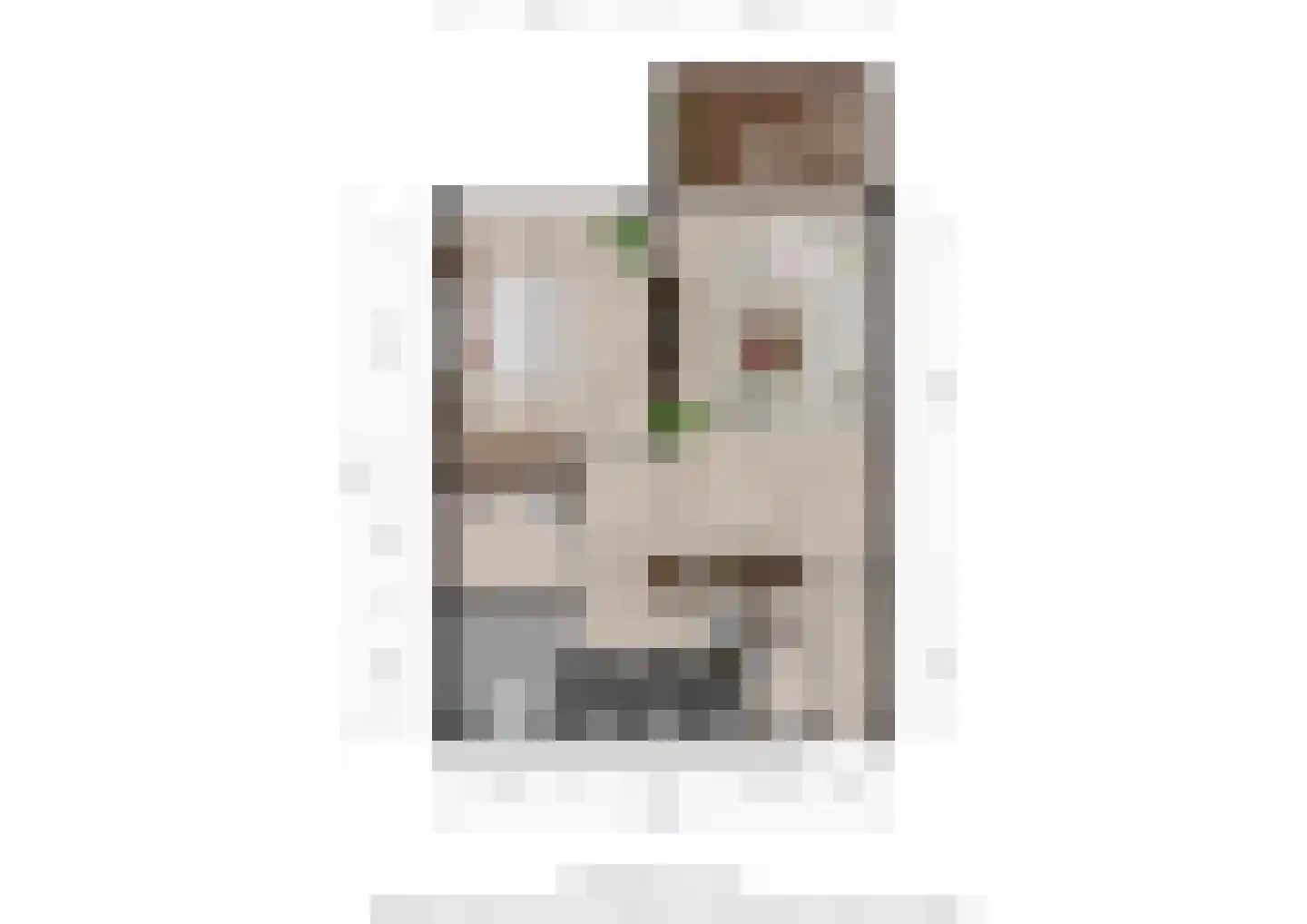 Kamperfoeliestraat 12 A Oss thumbnail 20