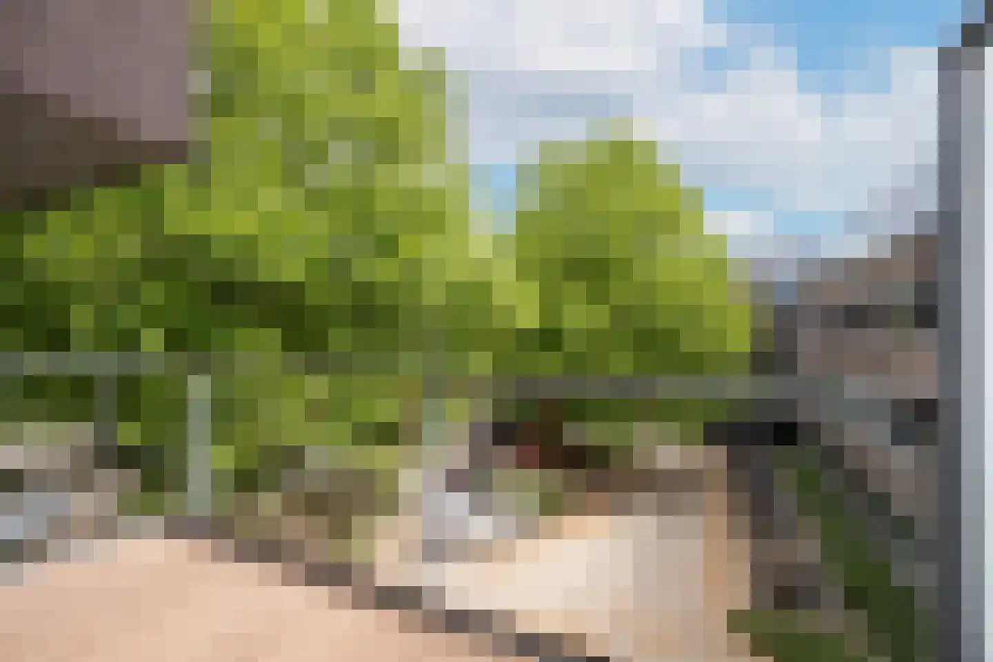 Kamperfoeliestraat 12 A Oss thumbnail 4