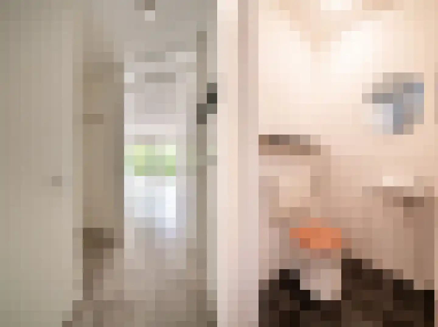 Kamperfoeliestraat 12 A Oss thumbnail 6