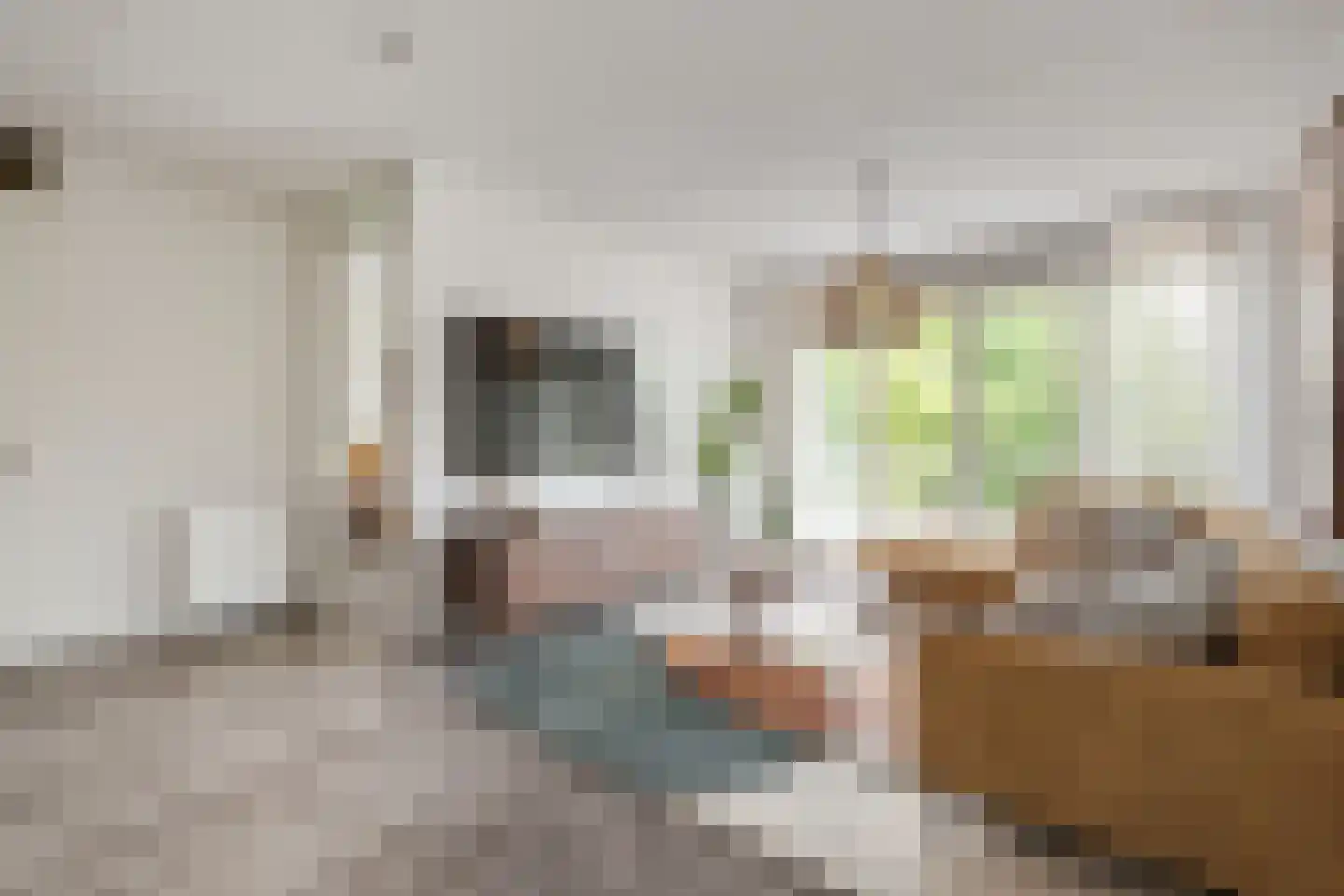 Kamperfoeliestraat 12 A Oss thumbnail 7