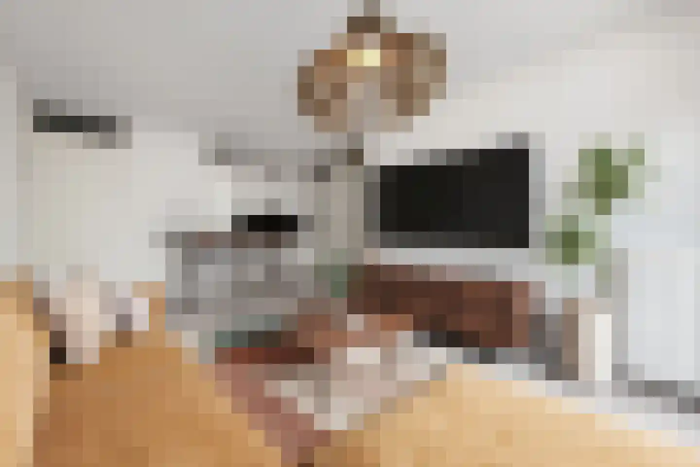 Kamperfoeliestraat 12 A Oss thumbnail 8