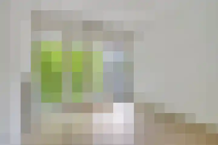 Kamperfoeliestraat 12 B Oss thumbnail 12