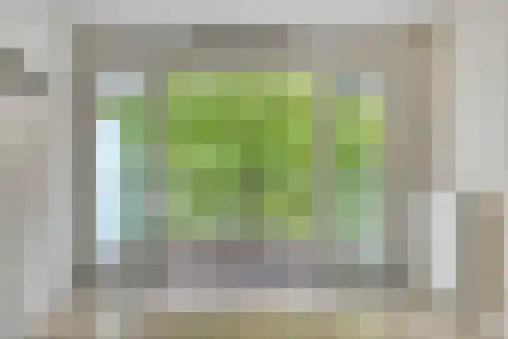 Kamperfoeliestraat 12 B Oss thumbnail 15