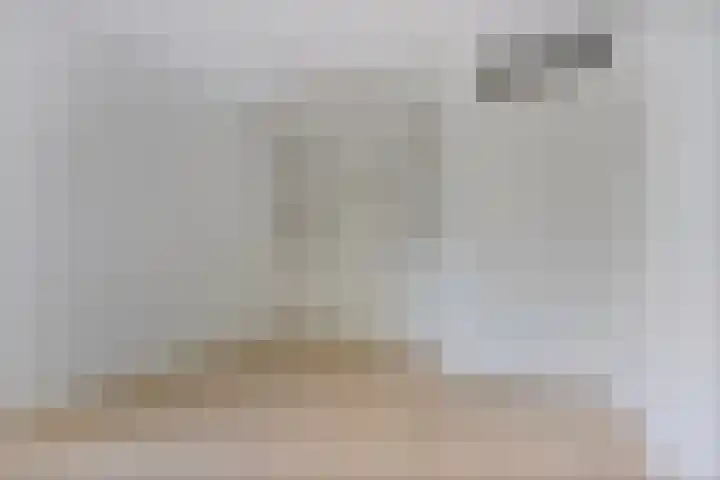 Kamperfoeliestraat 12 B Oss thumbnail 16