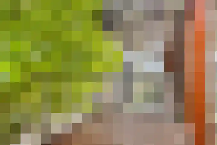 Kamperfoeliestraat 12 B Oss thumbnail 18