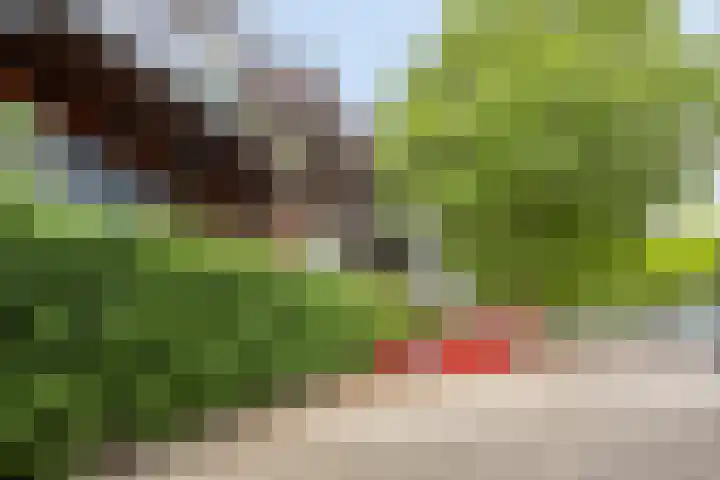 Kamperfoeliestraat 12 B Oss thumbnail 20