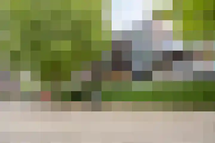 Kamperfoeliestraat 12 B Oss thumbnail 21