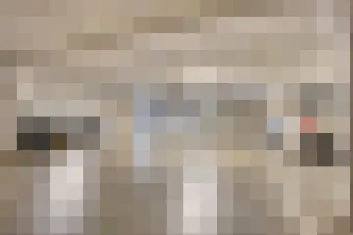 Kamperfoeliestraat 12 B Oss thumbnail 23