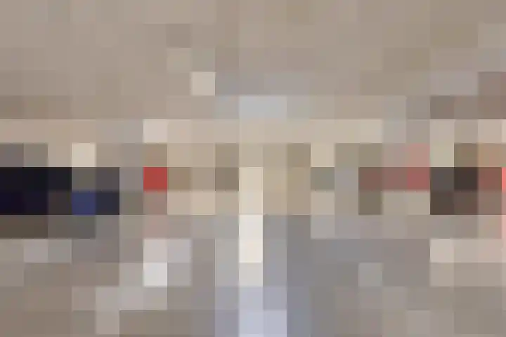 Kamperfoeliestraat 12 B Oss thumbnail 24