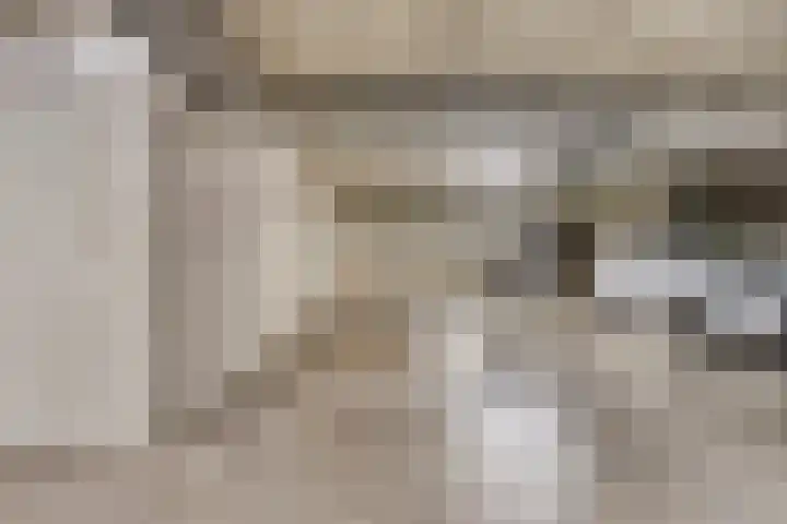 Kamperfoeliestraat 12 B Oss thumbnail 25