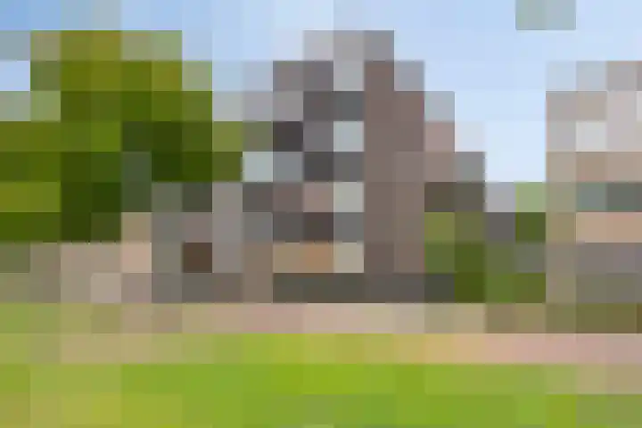 Kamperfoeliestraat 12 B Oss thumbnail 6