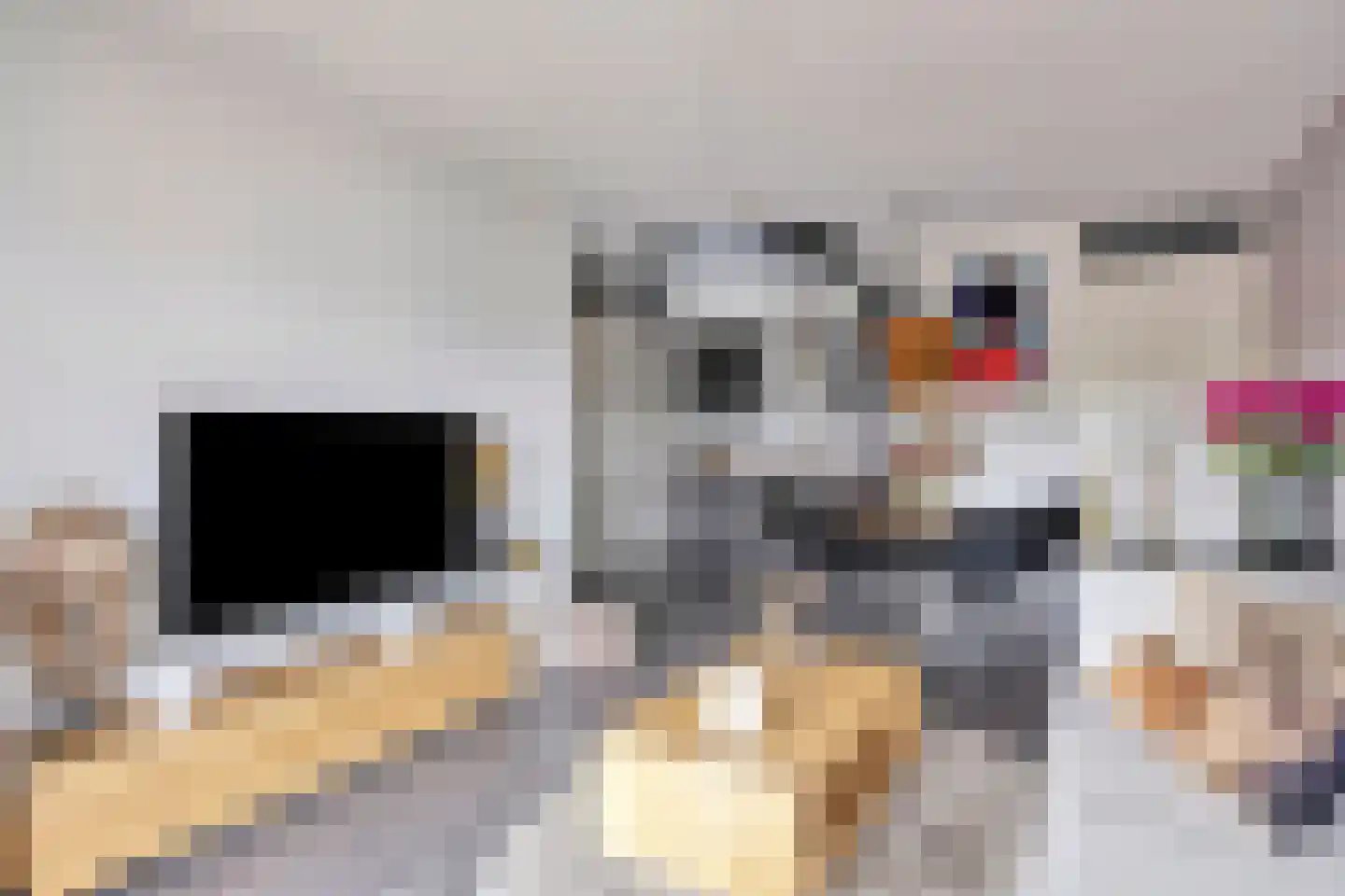Kamperfoeliestraat 12 F Oss thumbnail 12
