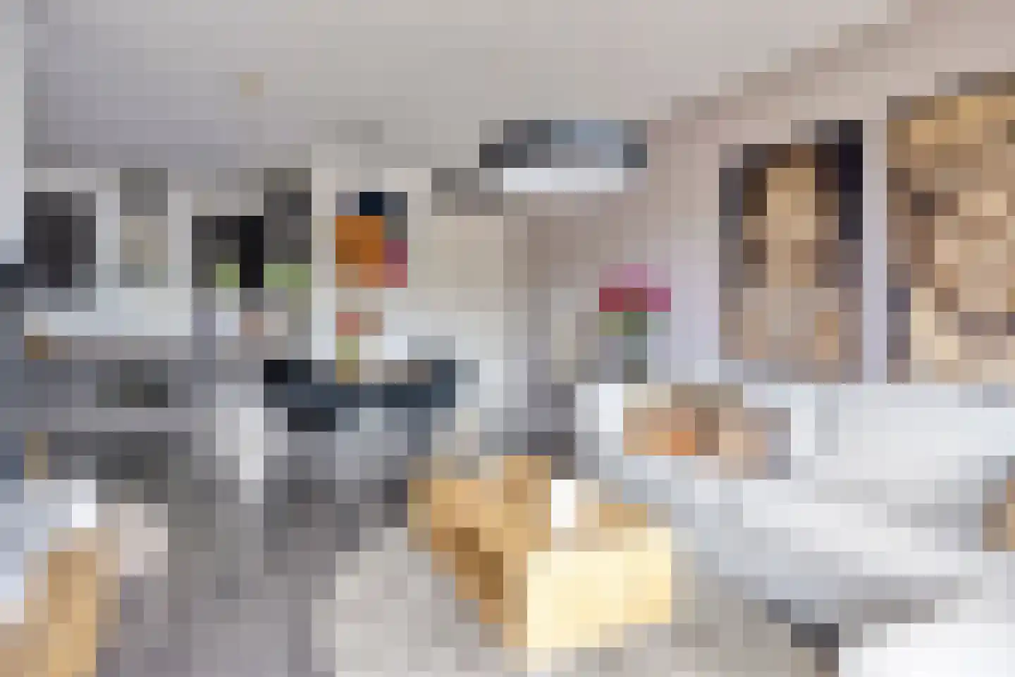 Kamperfoeliestraat 12 F Oss thumbnail 13