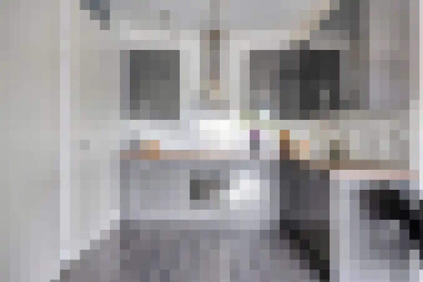 Kamperfoeliestraat 12 F Oss thumbnail 15