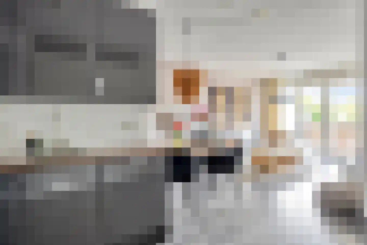 Kamperfoeliestraat 12 F Oss thumbnail 16