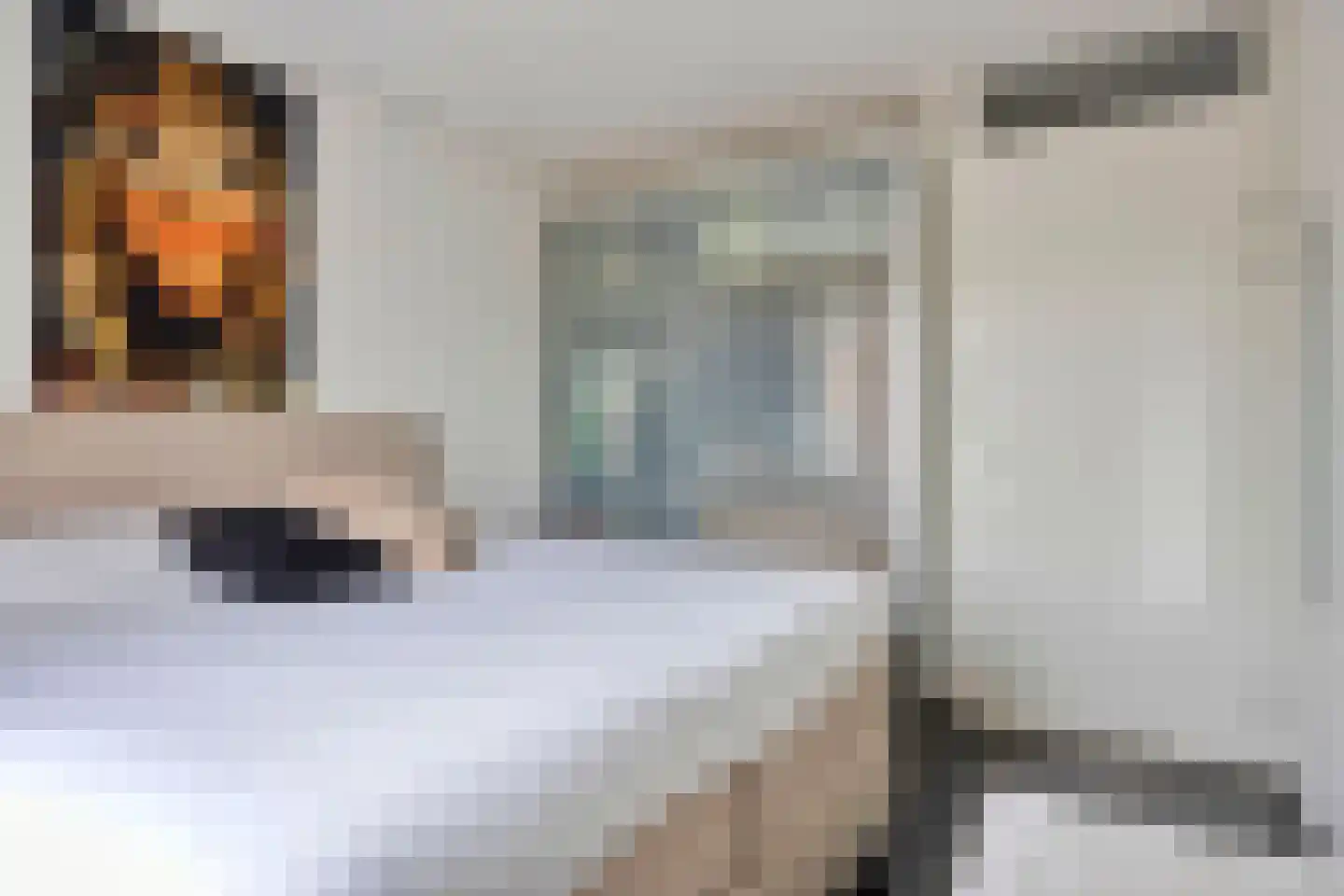 Kamperfoeliestraat 12 F Oss thumbnail 18