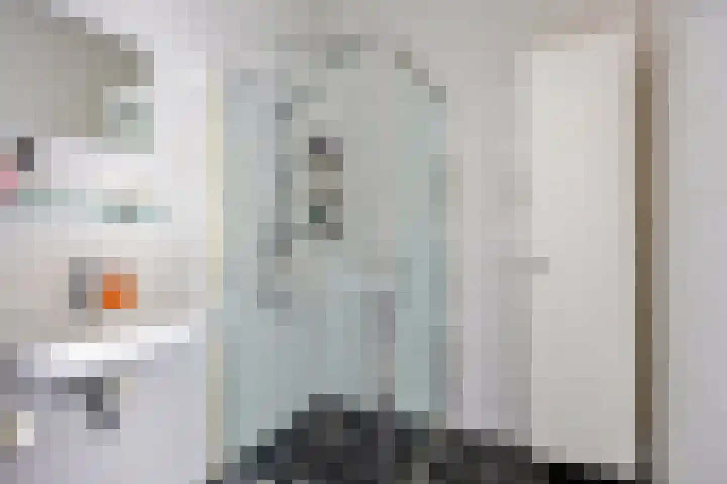 Kamperfoeliestraat 12 F Oss thumbnail 19