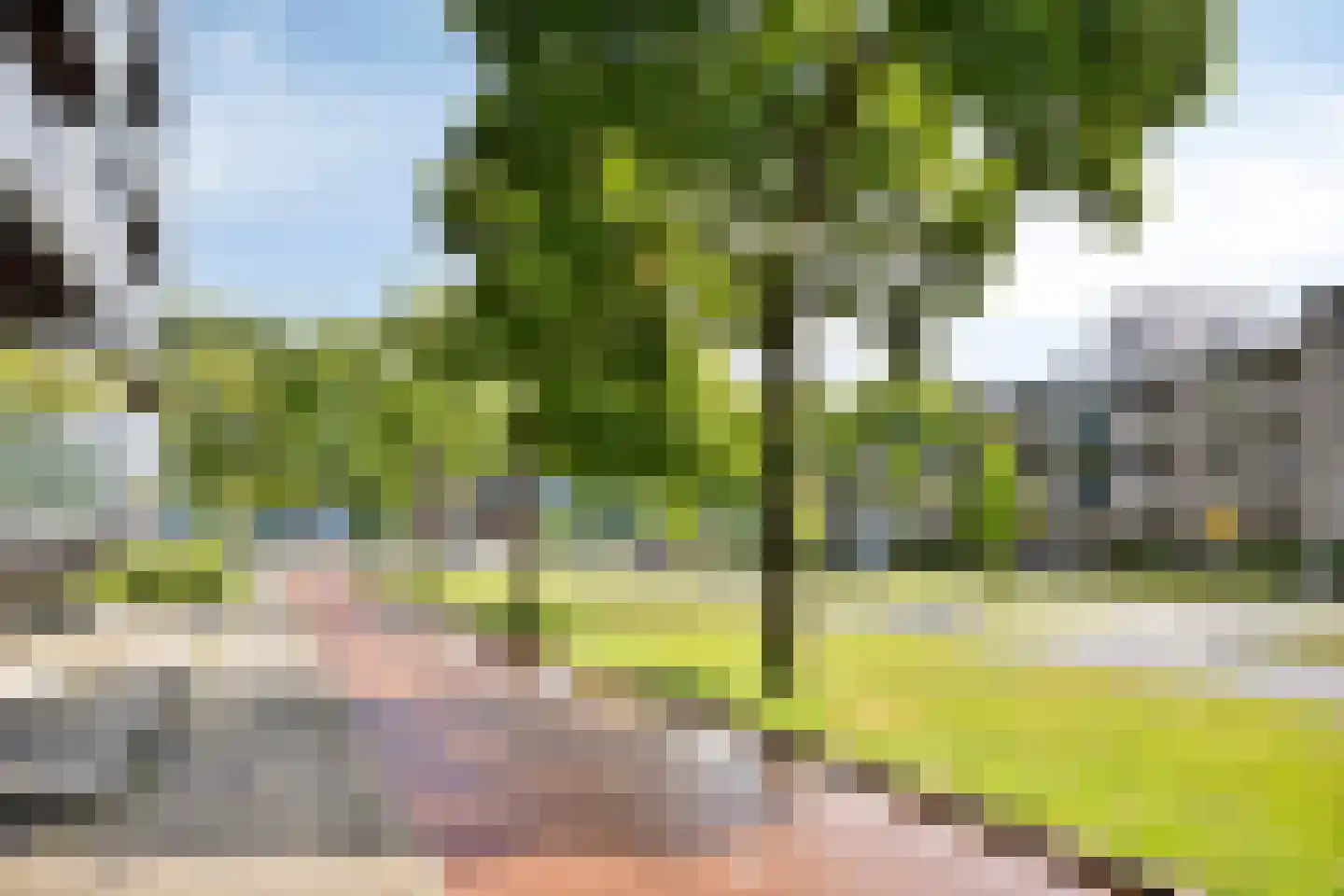 Kamperfoeliestraat 12 F Oss thumbnail 28