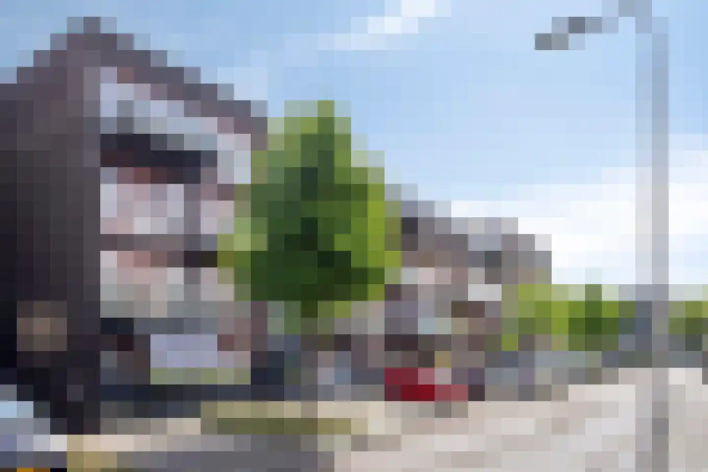 Kamperfoeliestraat 12 F Oss thumbnail 29