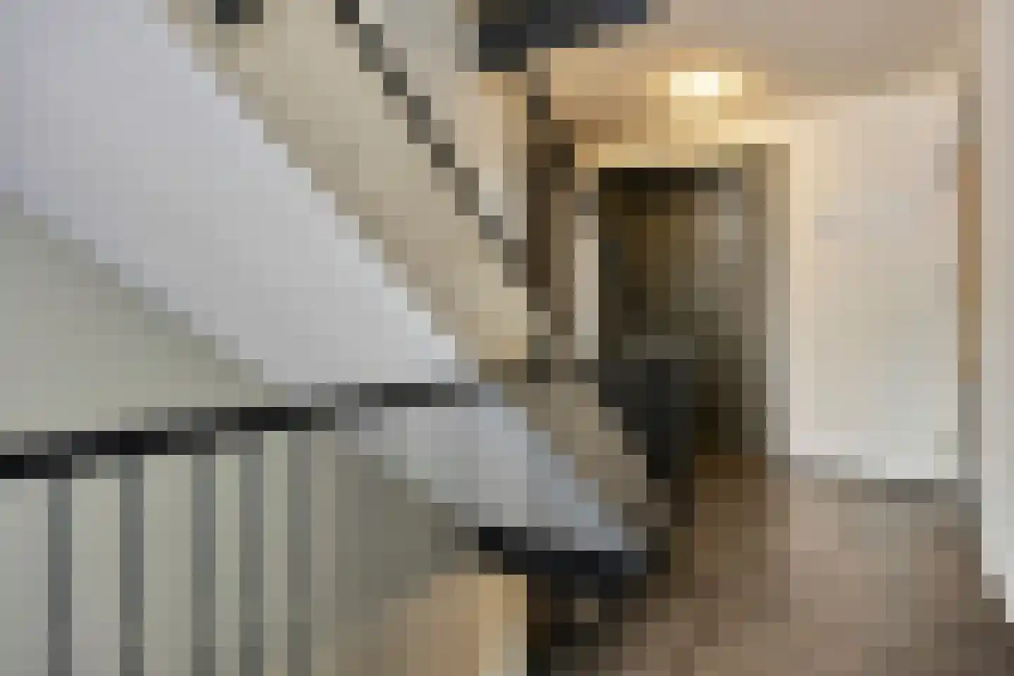 Kamperfoeliestraat 12 F Oss thumbnail 7