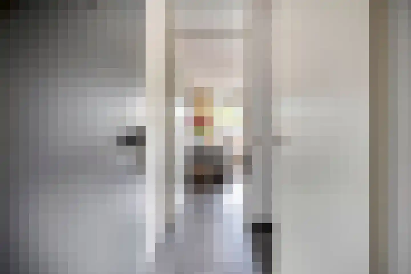 Kamperfoeliestraat 12 F Oss thumbnail 8