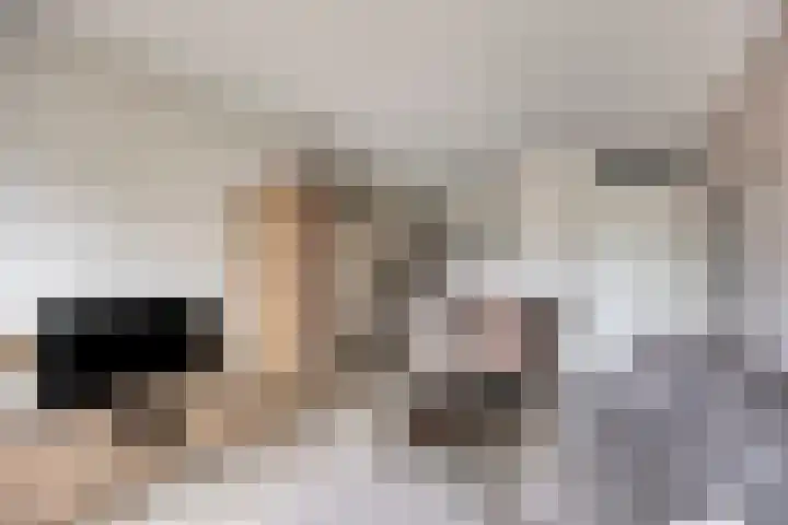 Kamperfoeliestraat 12 H Oss thumbnail 11