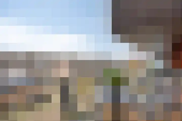 Kamperfoeliestraat 12 H Oss thumbnail 16