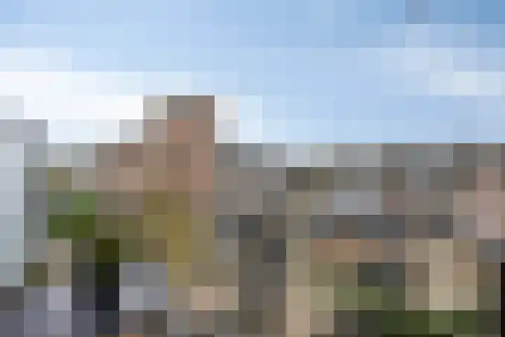 Kamperfoeliestraat 12 H Oss thumbnail 4
