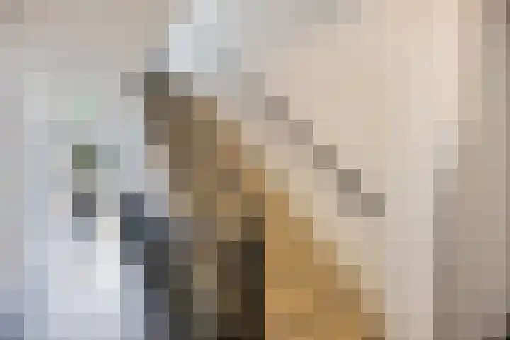 Kamperfoeliestraat 12 H Oss thumbnail 7