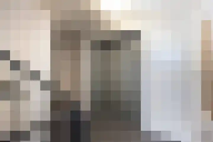 Kamperfoeliestraat 12 H Oss thumbnail 8