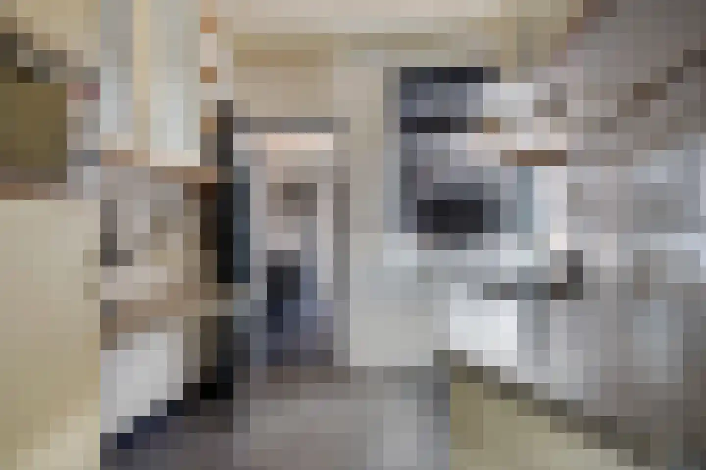 Kamperfoeliestraat 12 Musselkanaal thumbnail 10