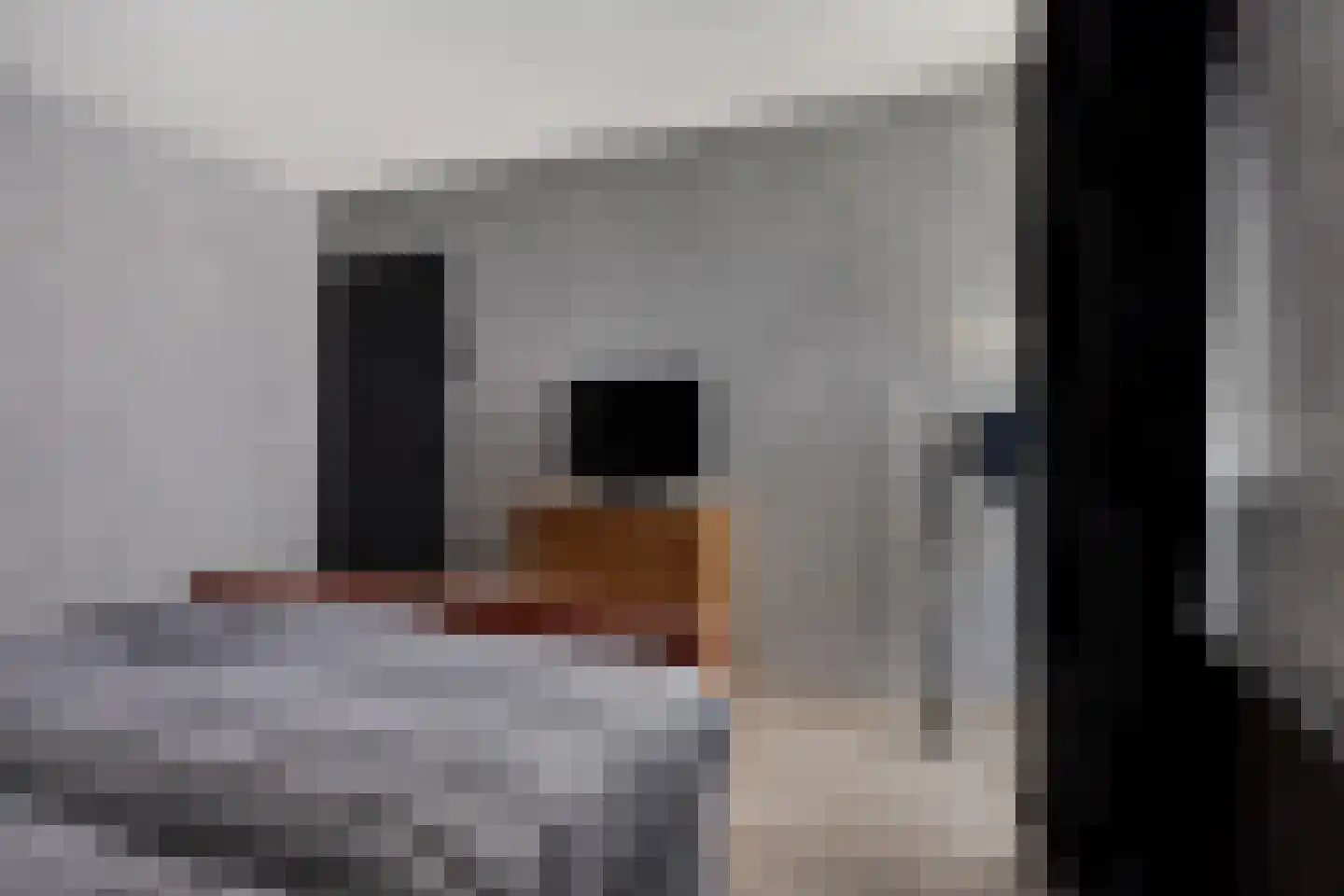 Kamperfoeliestraat 12 Musselkanaal thumbnail 19