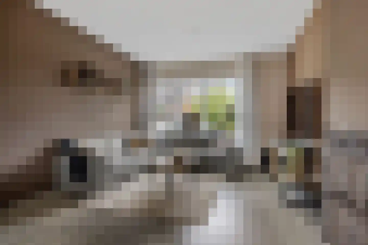 Kamperfoeliestraat 12 Musselkanaal thumbnail 8