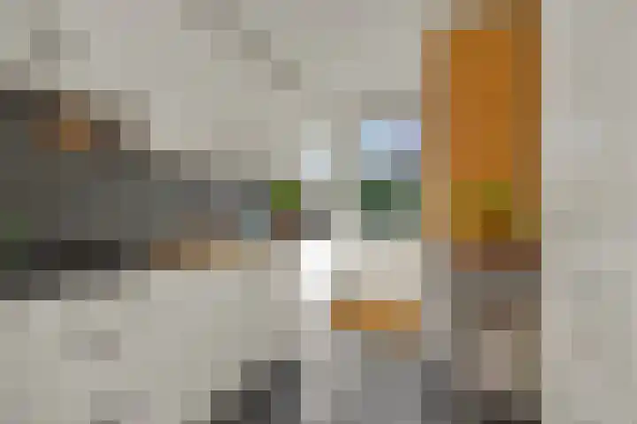 Kamperfoeliestraat 13 's-Hertogenbosch thumbnail 12